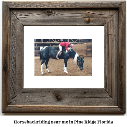 horseback riding near me in Pine Ridge, Florida